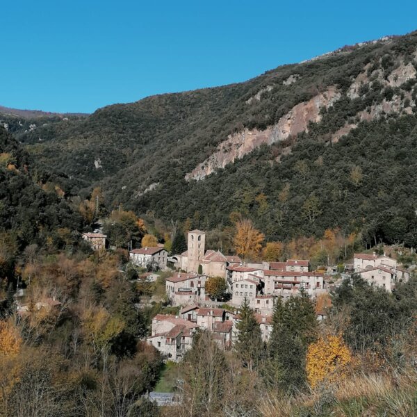 Beget